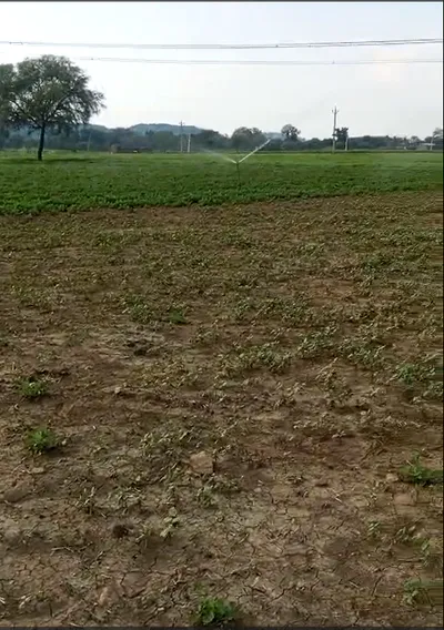 5G8V+XC, Mahoba, Ragaulli, Madhya Pradesh 210423, India preview 2