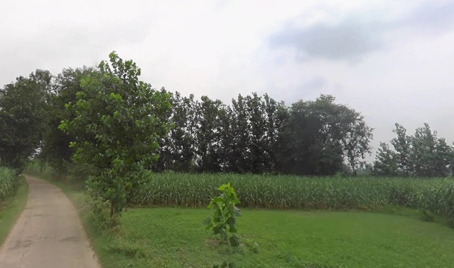 Jansath, Uttar Pradesh 251314, India