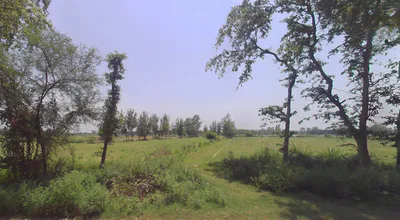 Tanda, Uttar Pradesh 244925, India preview 2