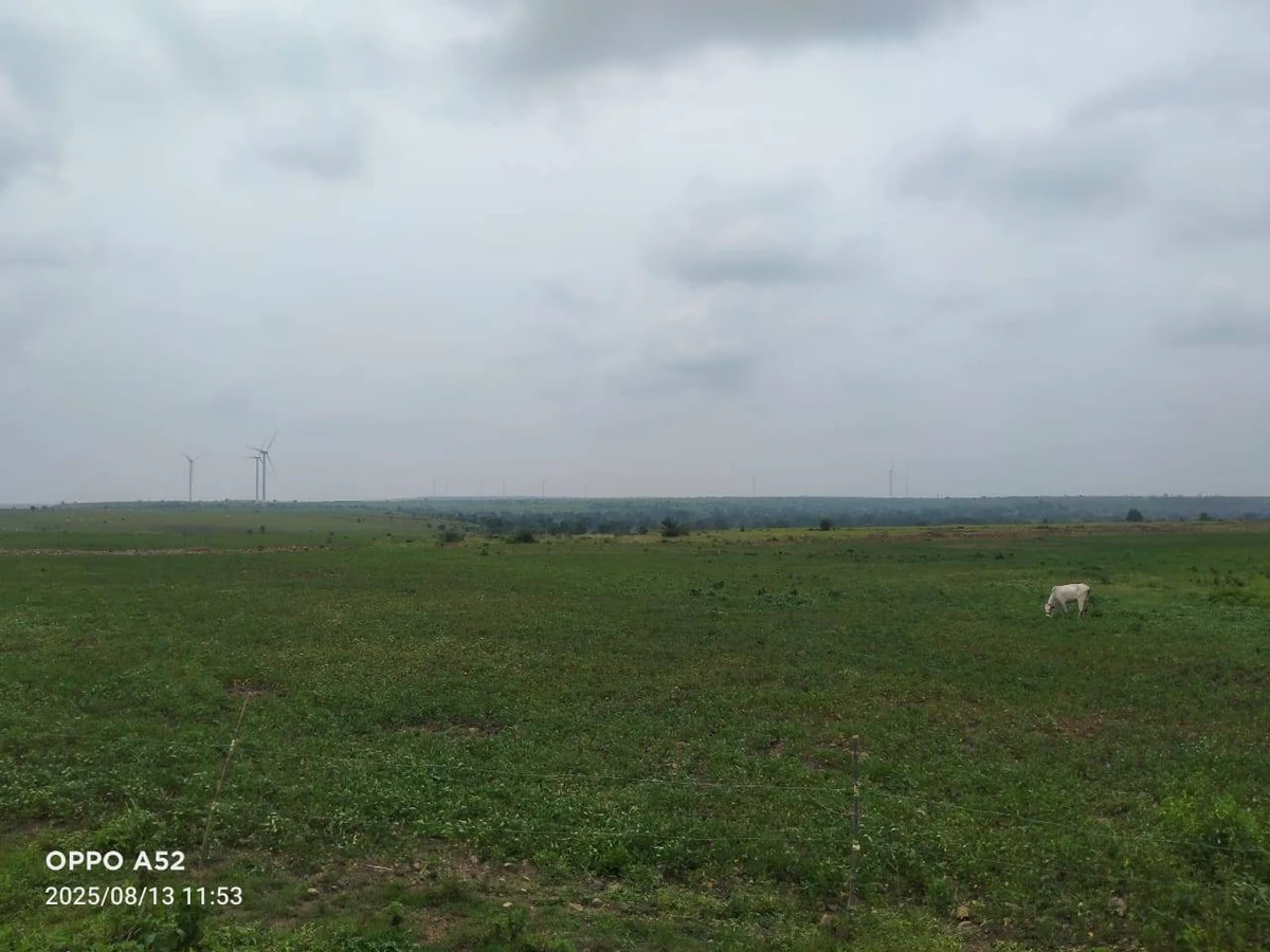 Shajapur, Madhya Pradesh 465001, India