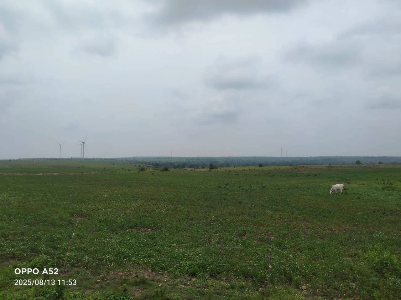 Shajapur, Madhya Pradesh 465001, India