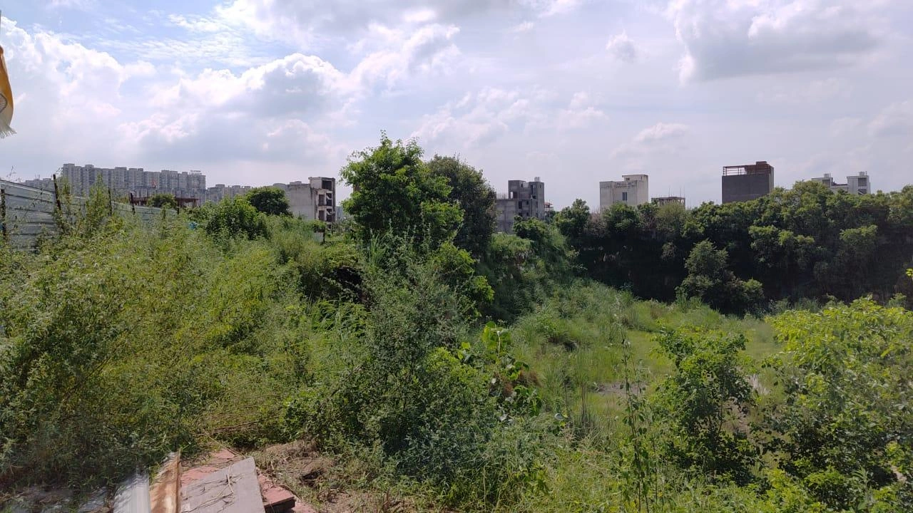 Raj Nagar Extension, Ghaziabad, Uttar Pradesh 201003, India
