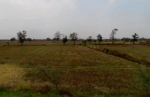 Sohagpur, Chhattisgarh 495671, India preview 3