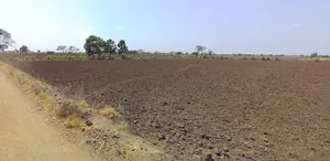 Dewas, Madhya Pradesh 455001, India preview 3