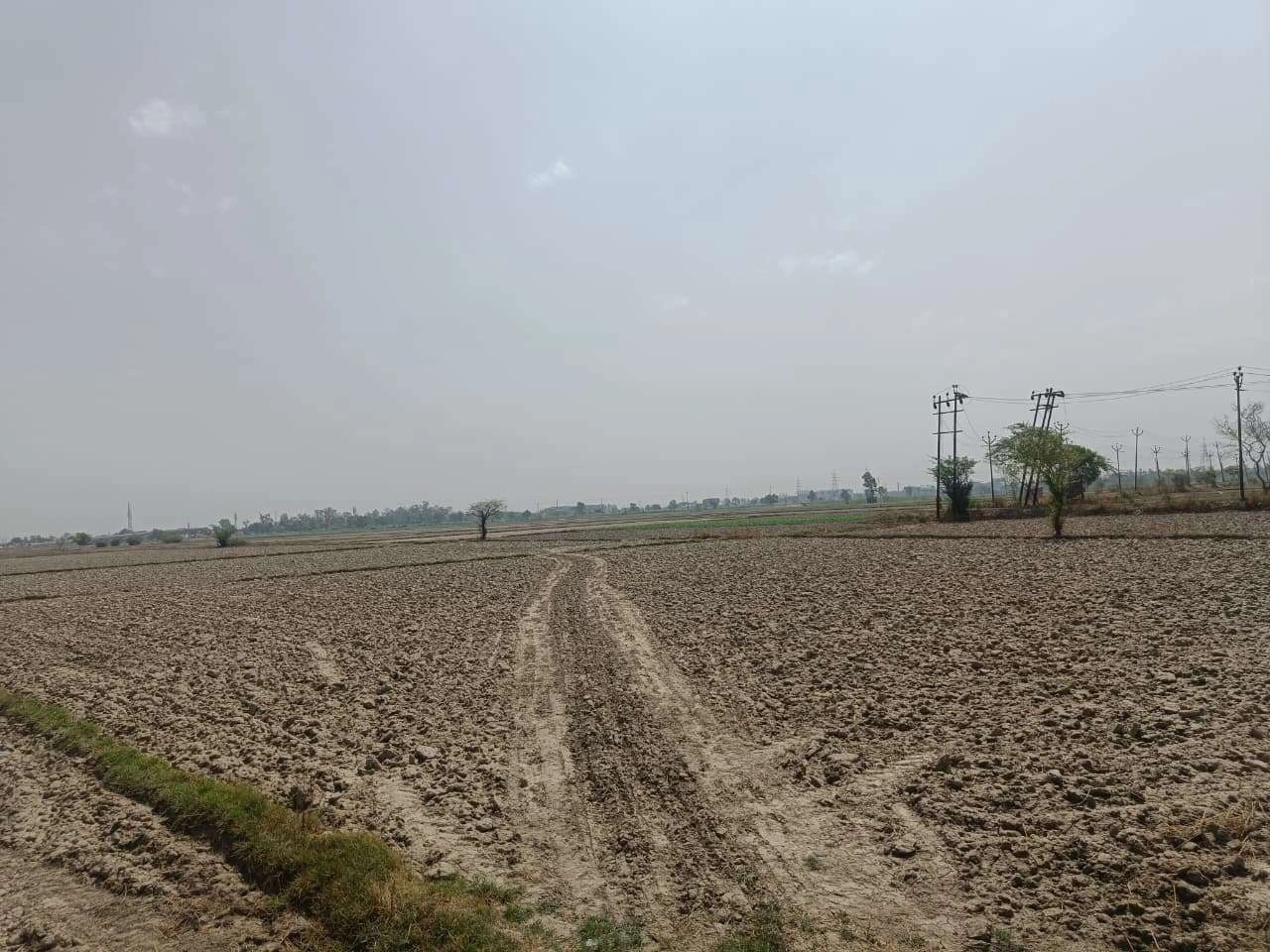 Aou, Rajasthan, India