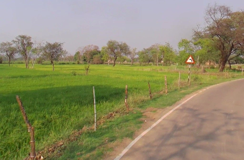 Bhadrali, Chhattisgarh, India