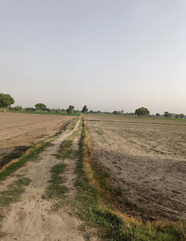 Amritsar, Punjab, India