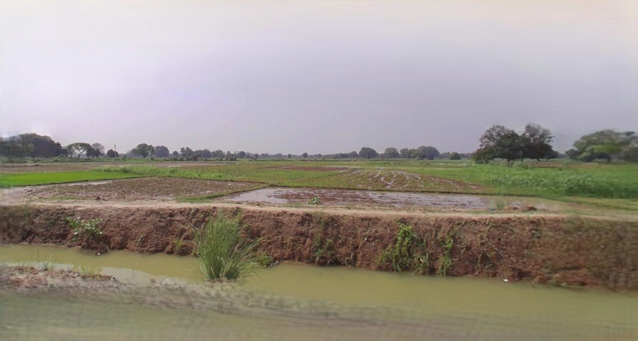 Budaun, Uttar Pradesh 243601, India