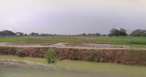 Budaun, Uttar Pradesh 243601, India preview 2