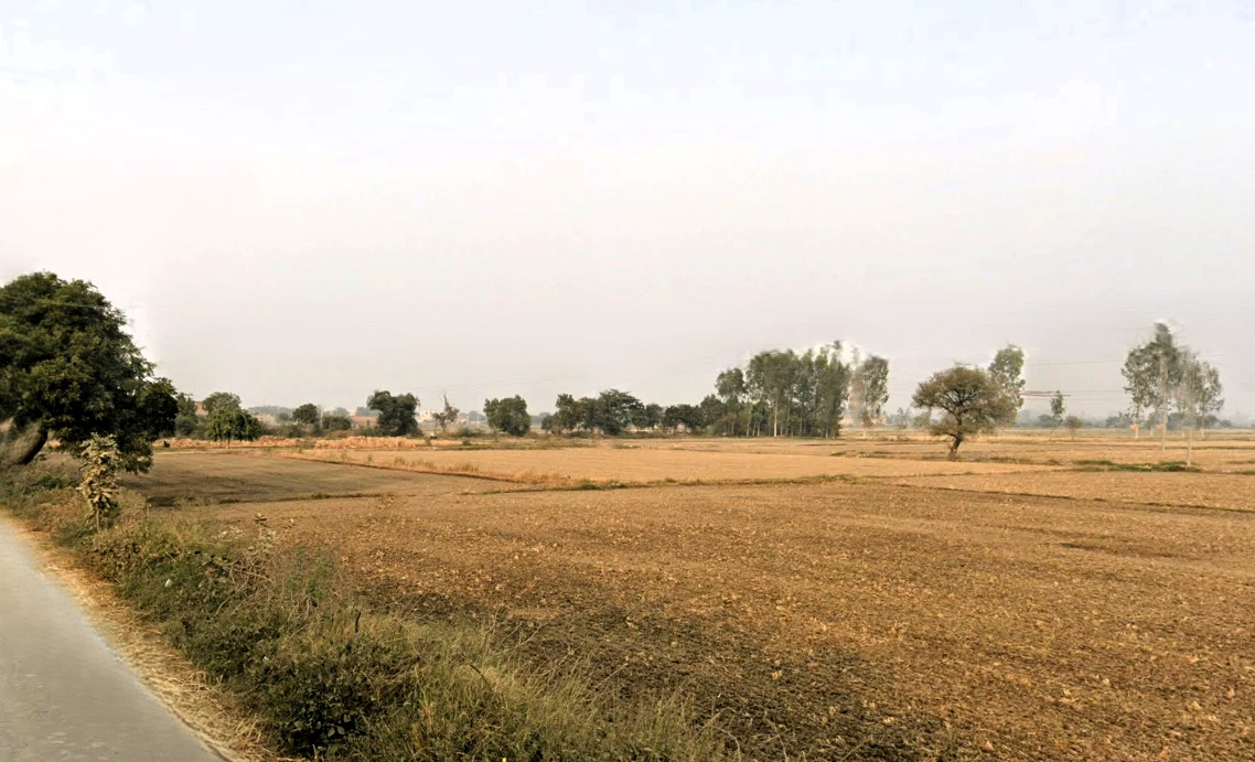Chiri, Haryana 124514, India