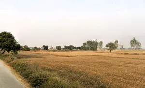 Chiri, Haryana 124514, India preview 3