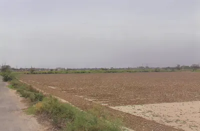 5843+2P4, Palwalrural, Haryana 121102, India preview 2