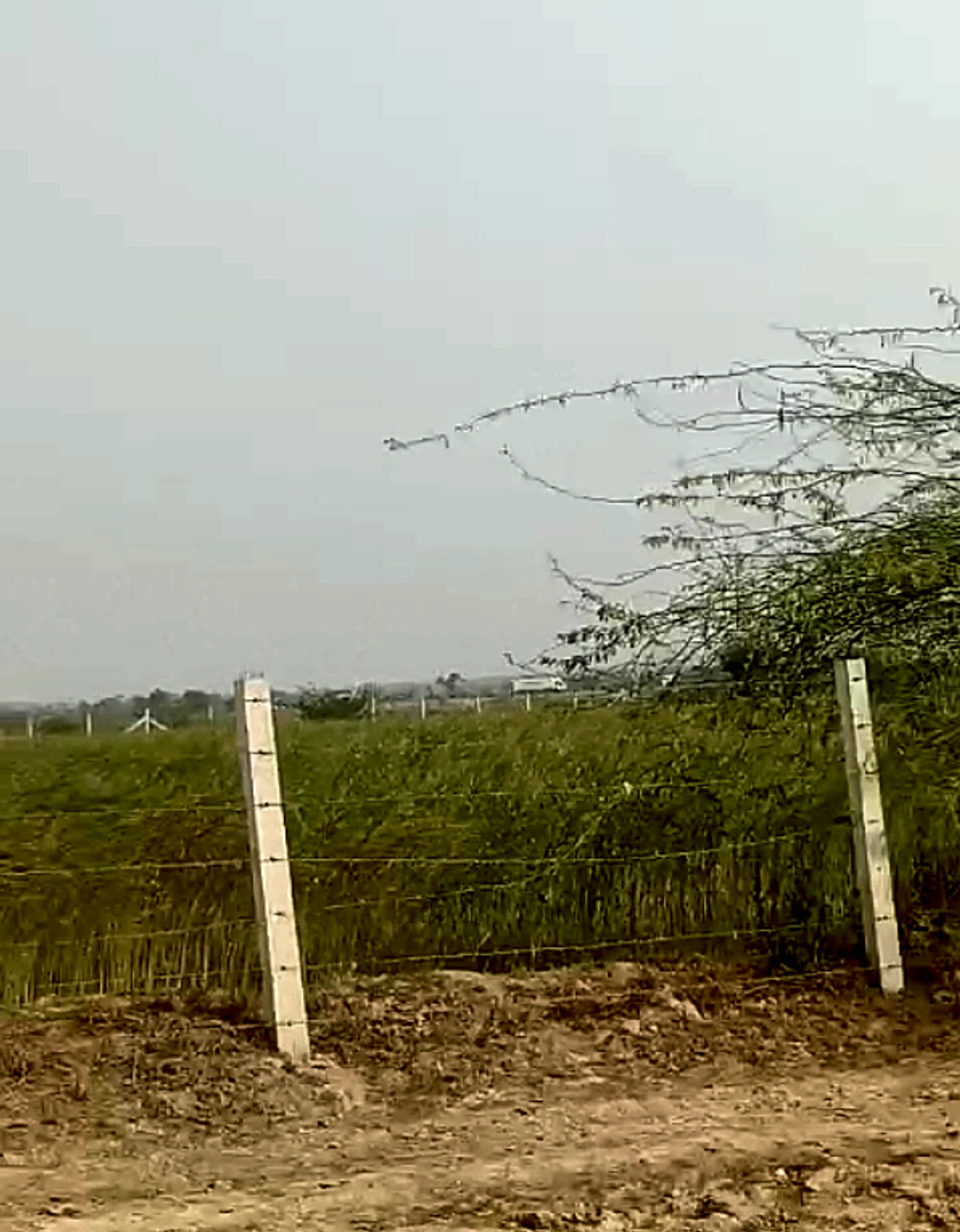 7V33+26, Jola, Rajasthan 304021, India