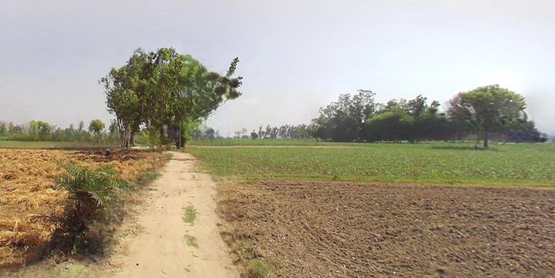 Tanda, Uttar Pradesh 244925, India preview 2