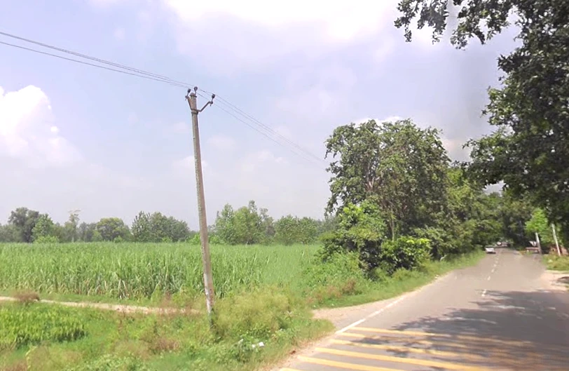 Behat, Uttar Pradesh 247121, India