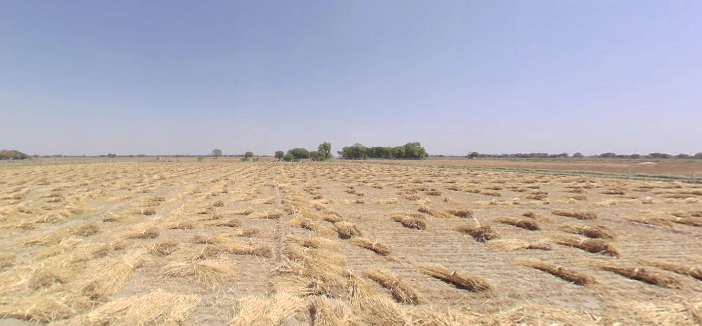 Chekhla, Gujarat 382115, India