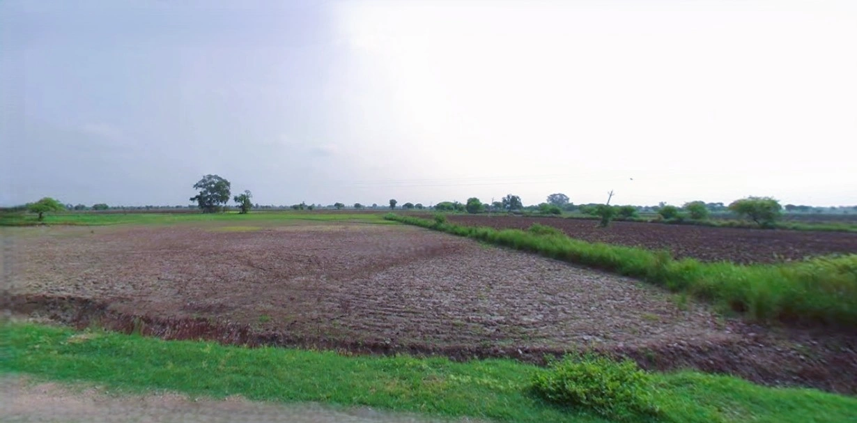 Charkhi Dadri, Haryana 127306, India