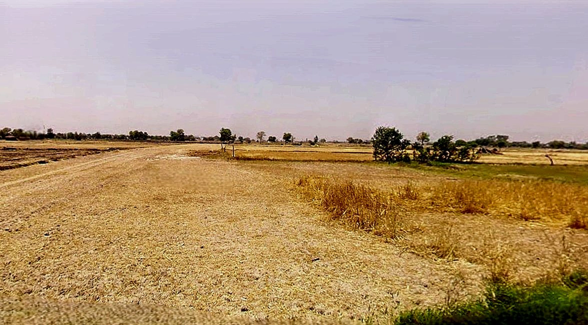 Dadri, Uttar Pradesh, India