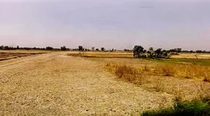 Dadri, Uttar Pradesh, India preview 3