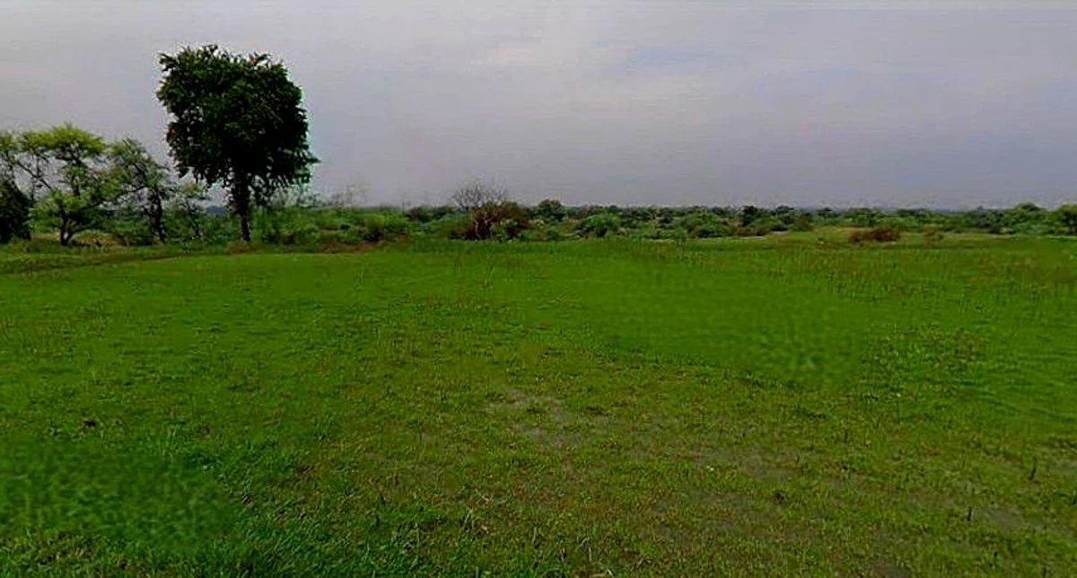 Chandla, Madhya Pradesh 471525, India
