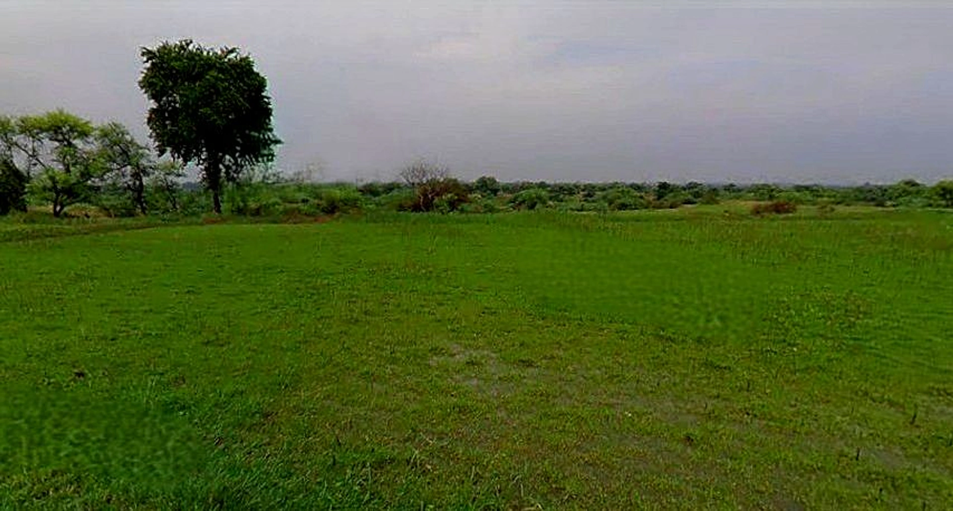 Chandla, Madhya Pradesh 471525, India