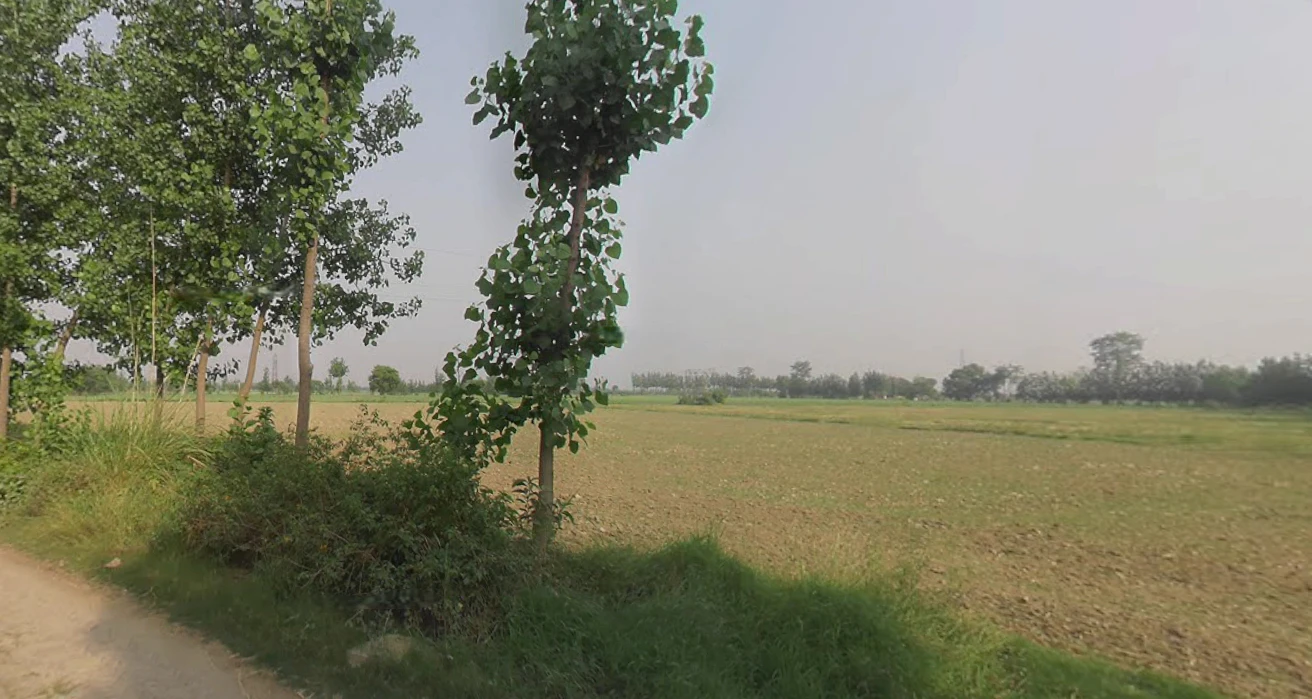 Kanth, Uttar Pradesh 244501, India