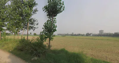 Kanth, Uttar Pradesh 244501, India preview 2
