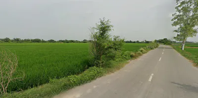 Tarapur, Punjab, India preview 2