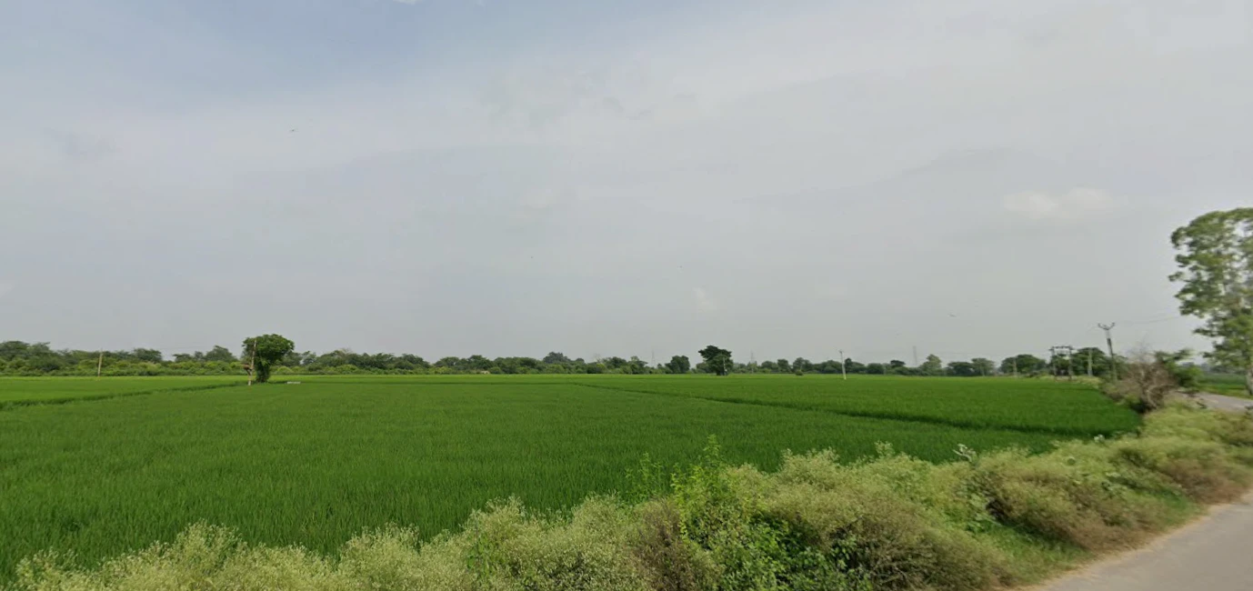 Nurpur Bedi, Punjab 140117, India