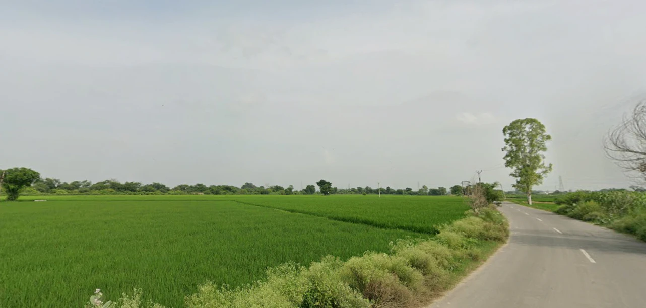Dhaul, Punjab 144521, India