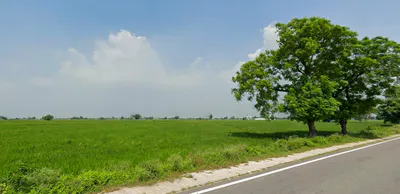 New Chandigarh, Punjab 140901, India preview 3