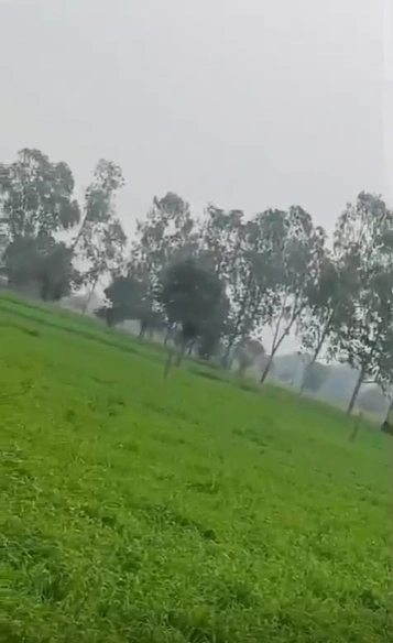 FMC3+6V Nohri Kalan, Shivpuri, Madhya Pradesh, India preview 3