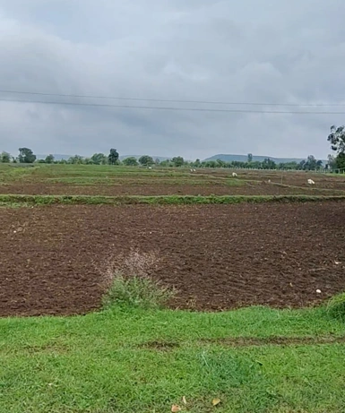 Napakhedi, Dewas, Madhya Pradesh 455001, India preview 3