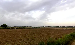 Sector 99, Gurugram, Haryana 122505, India preview 2