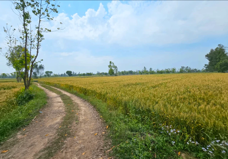 Belpahari, West Bengal 721501, India