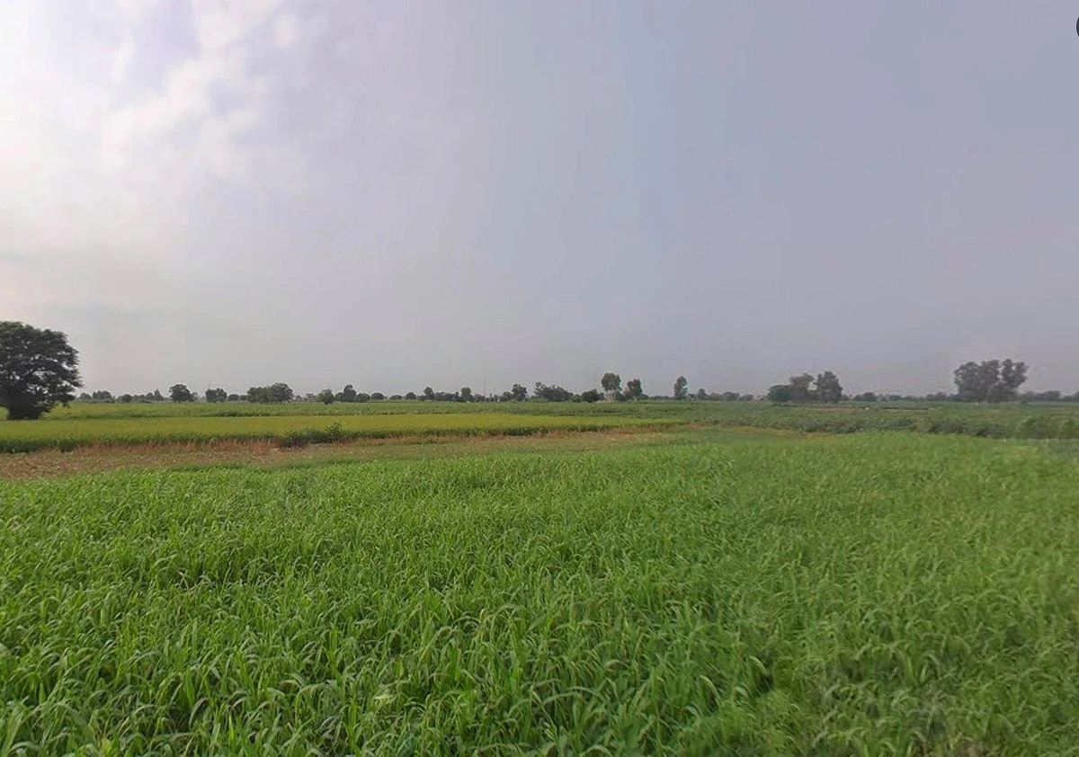 Bhitha Dharampur, Bihar 843320, India