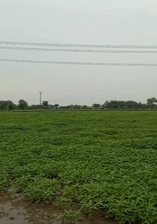 3F34+F4 Nowgong, Chhatarpur, Madhya Pradesh, India