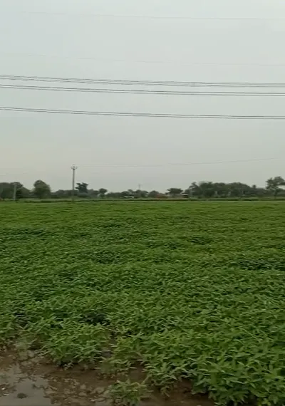 3F34+F4 Nowgong, Chhatarpur, Madhya Pradesh, India preview 3