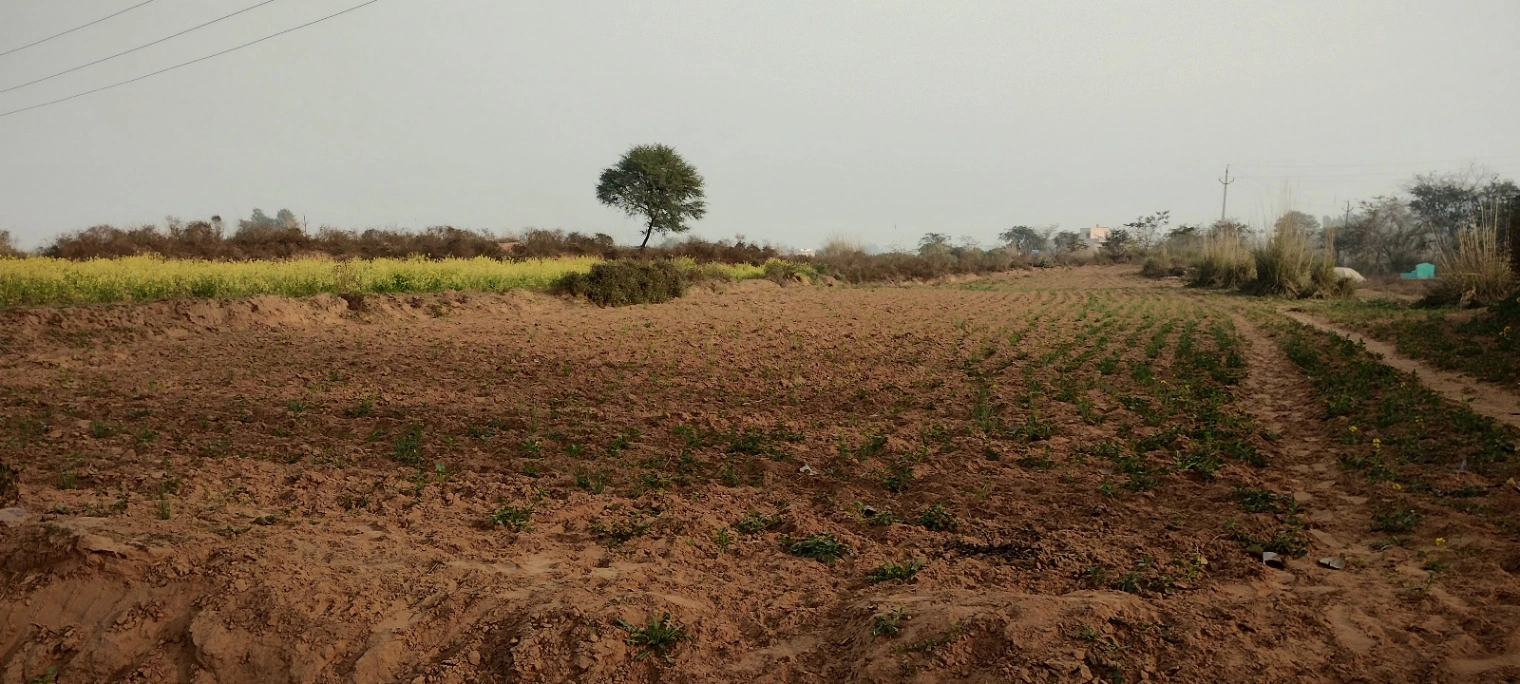 Seu, Rajasthan, India