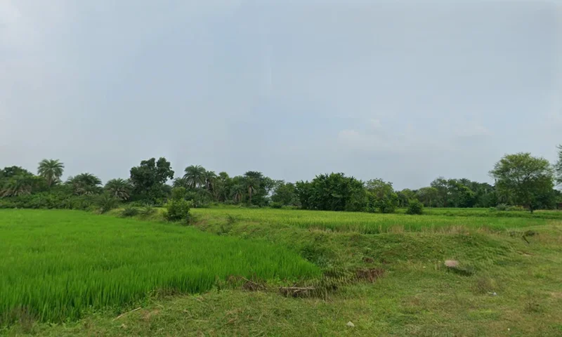 Kashipur, West Bengal 723132, India preview 2