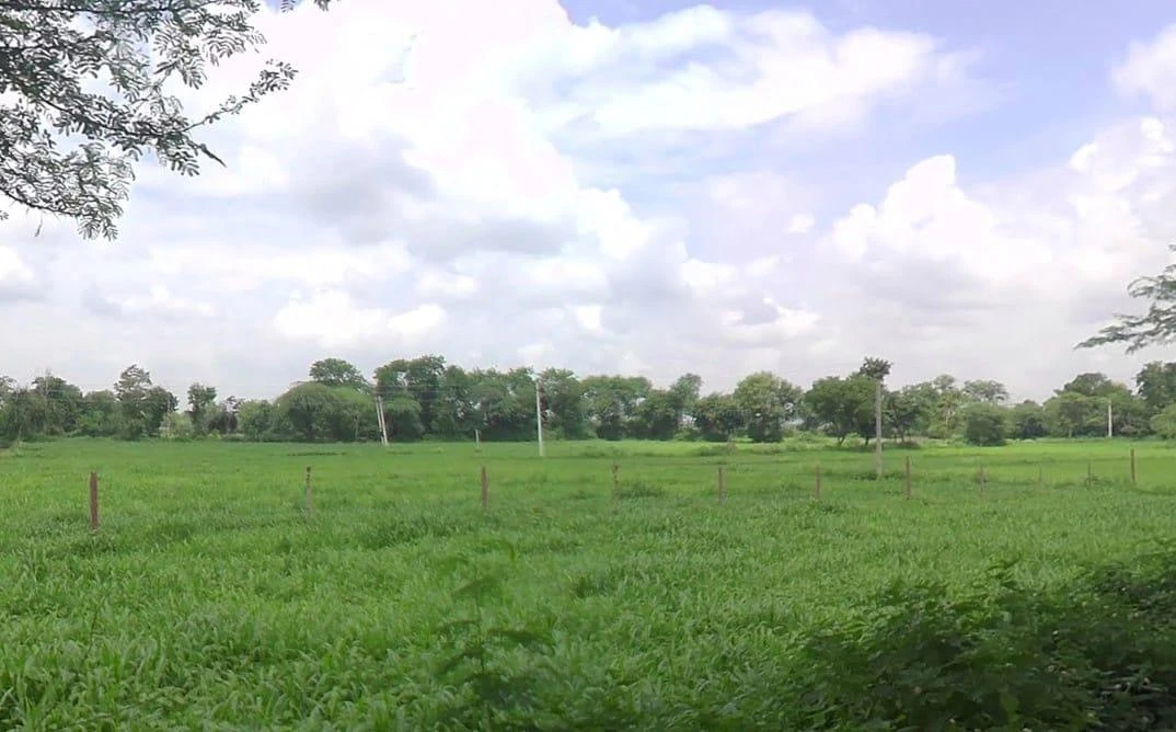 JXMM+XG Beejana, Rajasthan, India