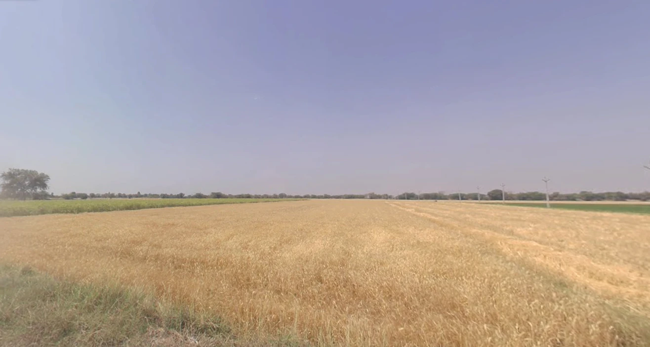 Gigasan, Gujarat 365640, India