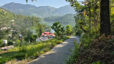 Silotia Rd, Naukuchia, Tal Rd, Siloti Pant, Uttarakhand 263136, India preview 2
