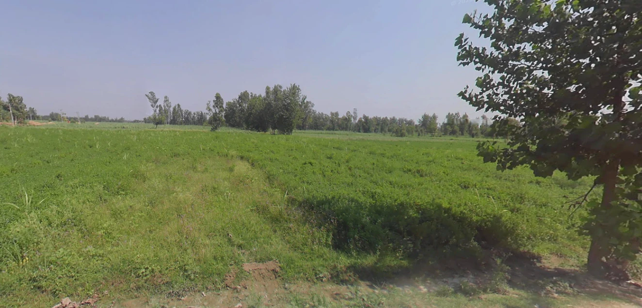 Hasanpur, Uttar Pradesh 244241, India