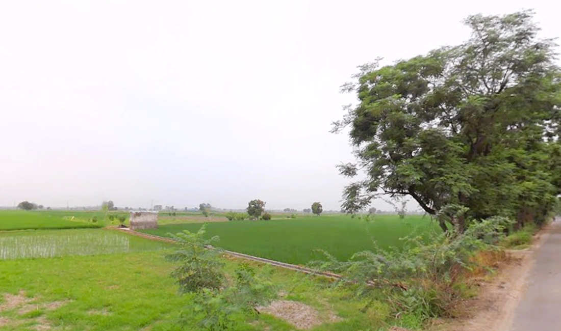 Rajound, Haryana 136044, India