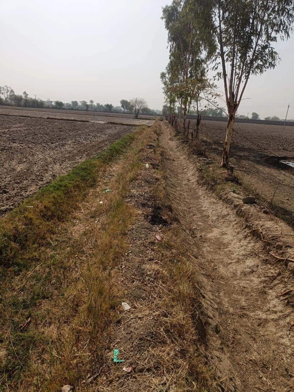 Ajhai Kalan, Uttar Pradesh 281406, India