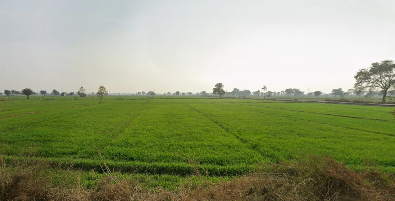 Hansi, Haryana 125033, India