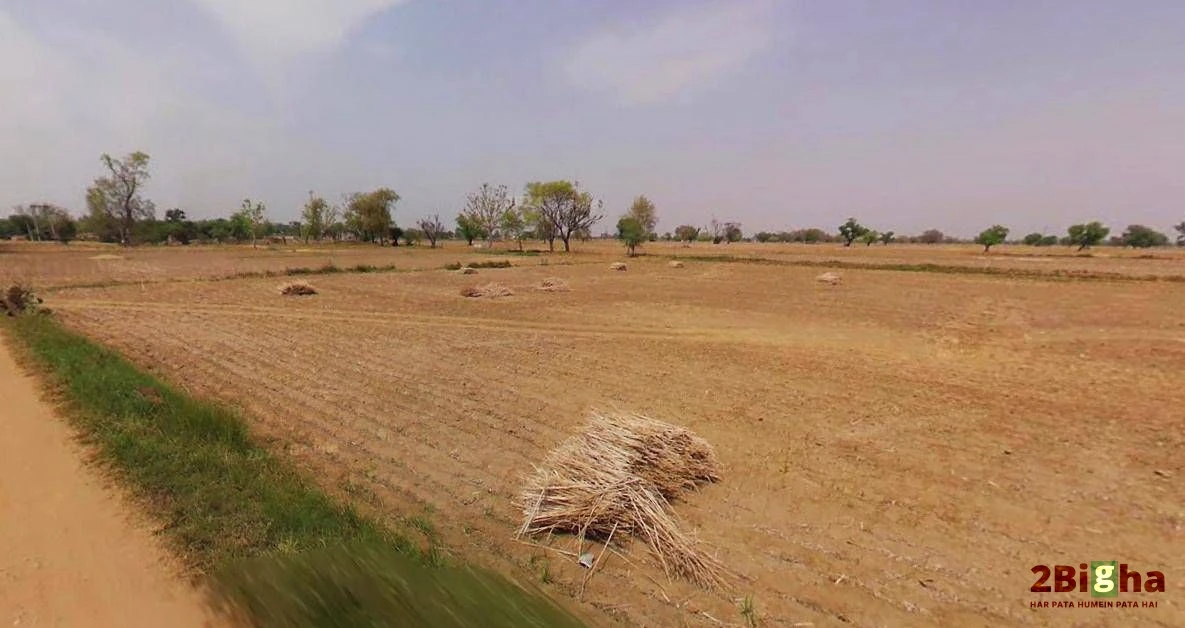 Chandla, Madhya Pradesh 471525, India