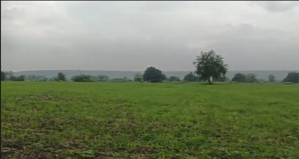 Kolar, Madhya Pradesh 484665, India