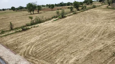 Pipraich, Uttar Pradesh, India preview 2